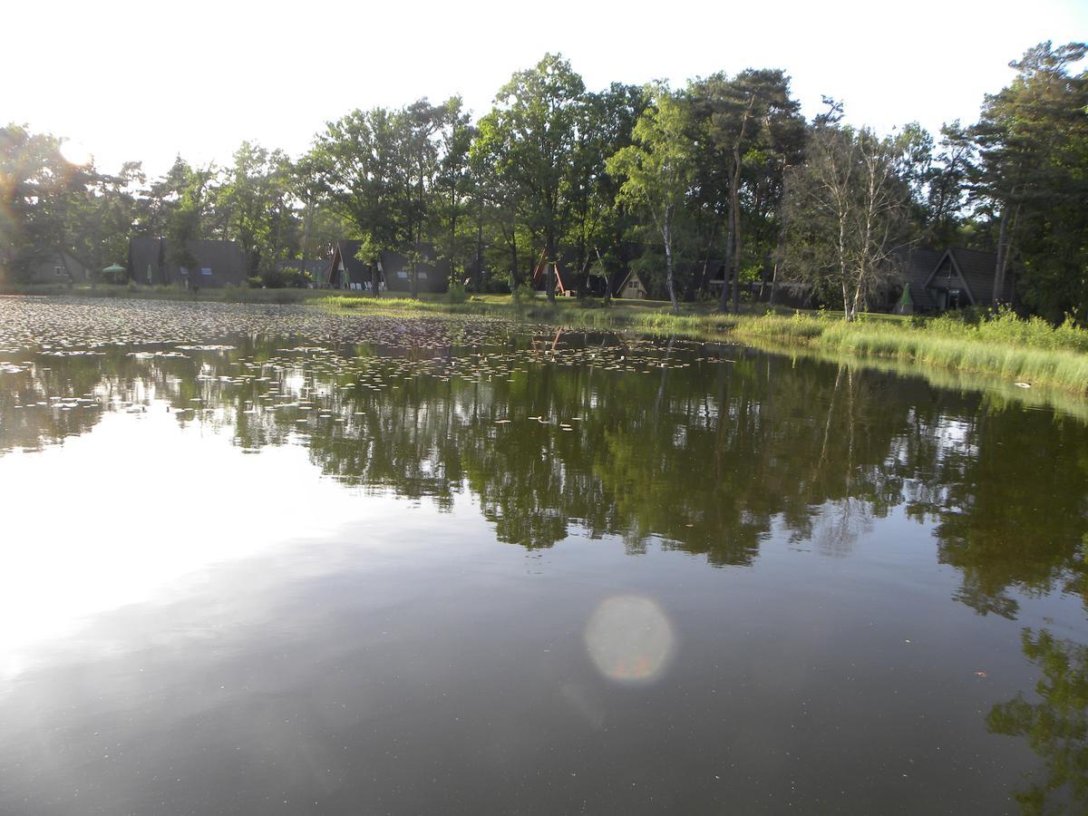 Bungalows Bospark Te Stramproy ภายนอก รูปภาพ